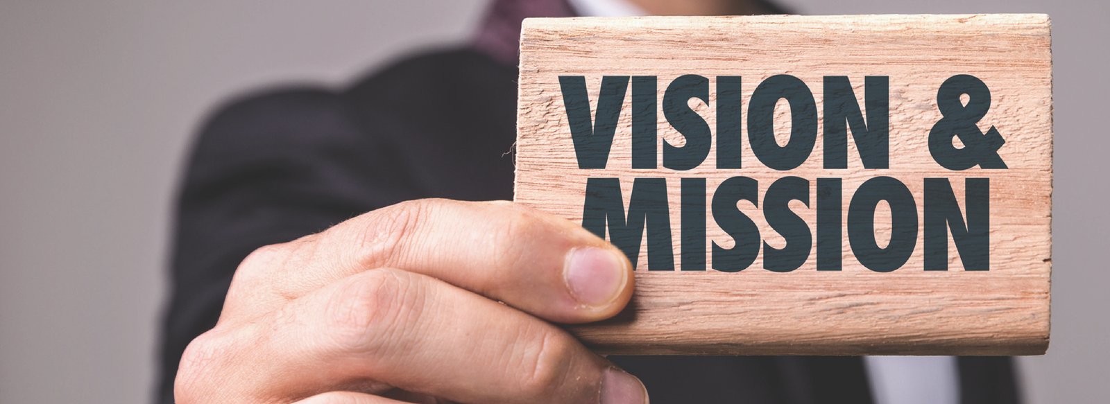 Panoramic view of Saraswati Vidya Mandir school campus showing modern buildings and green spaces